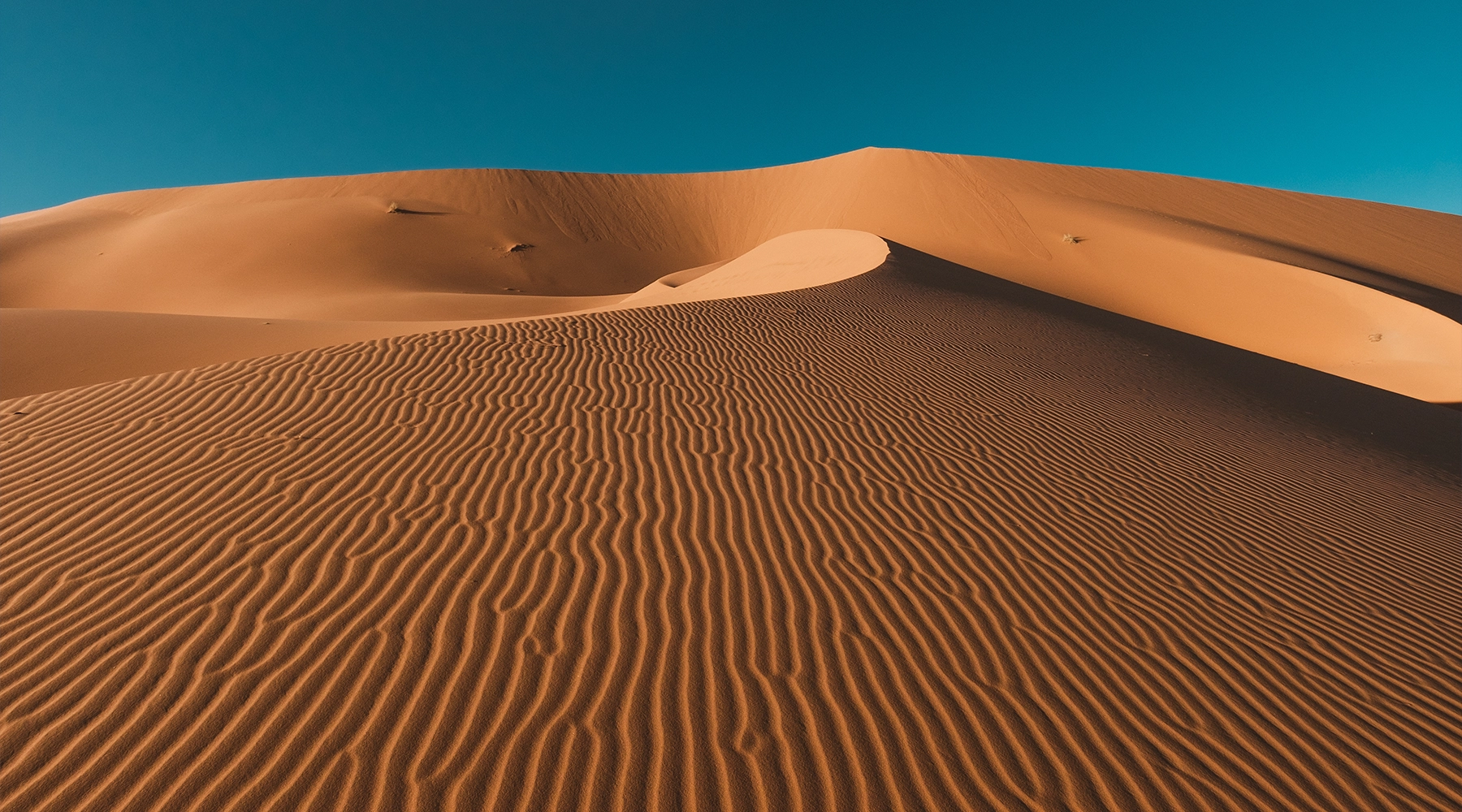 6 Day Family Circuit to the South of Morocco – Marrakech Atlas and Desert 6 Day Family Circuit to the South of Morocco – Marrakech Atlas and Desert