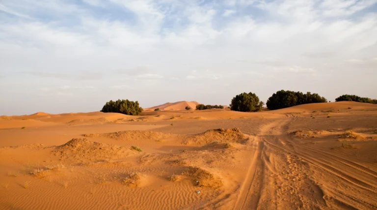 4 Day Tour from Fez to Marrakech via the Merzouga Desert