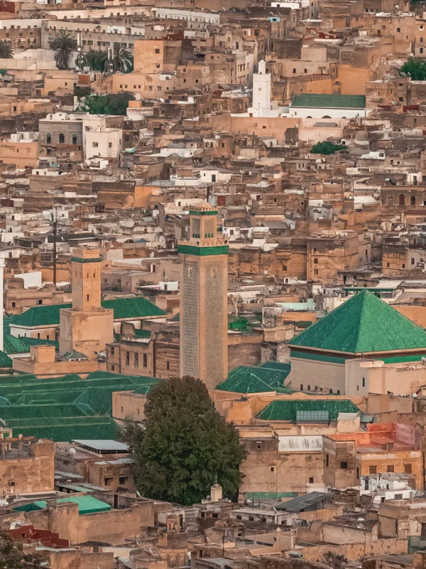 Panoramic view of Fez medina – visita guiada por la medina de Fez